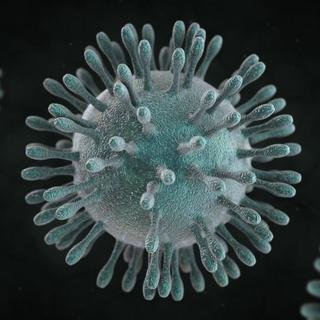 Coronavirus image