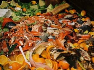 Halving food waste can reduce hunger for 153 million people: Report